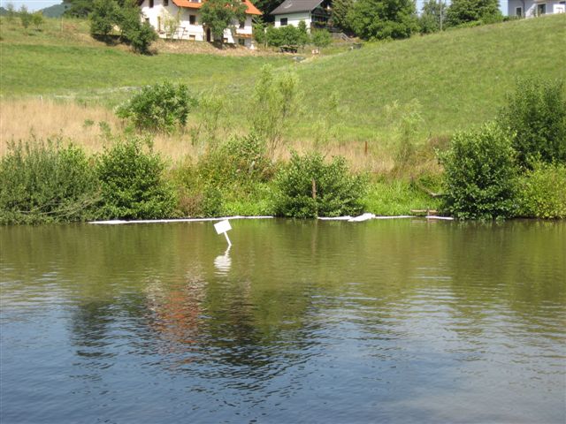 36-Razlitje olja v ribniku v Tekačevem 2_8_2007 (2007) — fotografija 1