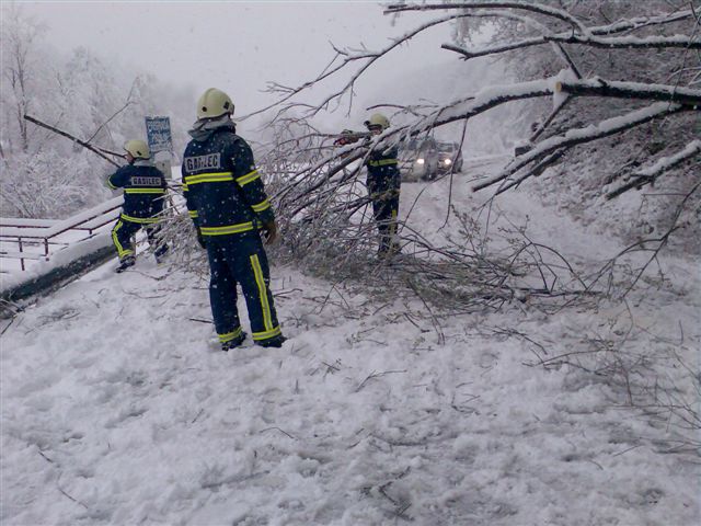 10-Odstranjevanje podrtega drevesa s cestišča Nimno 18_3_2008 (2008) — fotografija 1