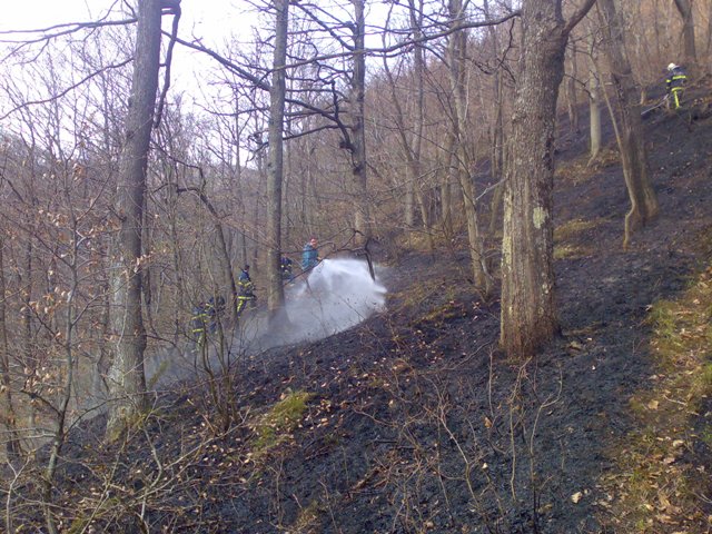 16-Gozdni požar Cerovec pod Bočem 7_4_4009 (2009) — fotografija 1