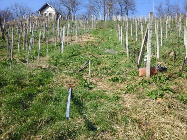 28. marec - Delovna nesreča Lemberg (2015) — fotografija 5