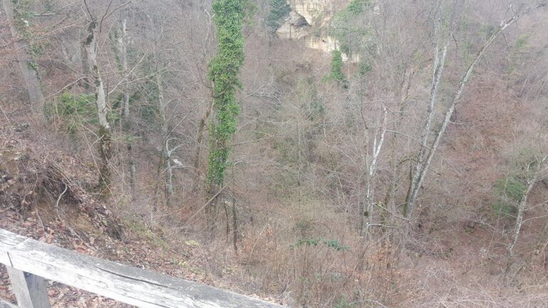 22. februar - Padec po strmem pobočju - Kozje (2016) — fotografija 1