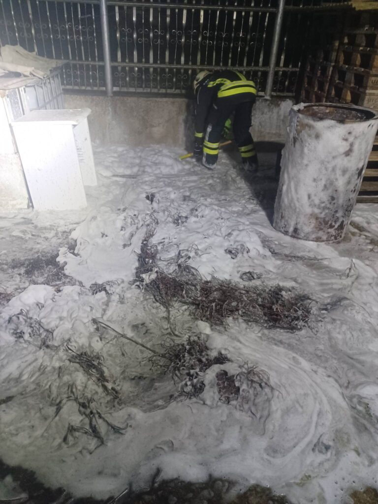 13.11.2022 Požari v naravi oziroma na prostem (2022) — fotografija 1