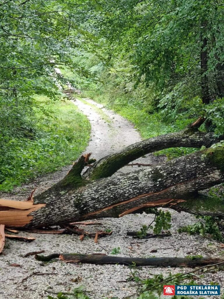 045 Večji obseg - Neurje Rogaška Slatina 25.7.2023 (2023) — fotografija 6