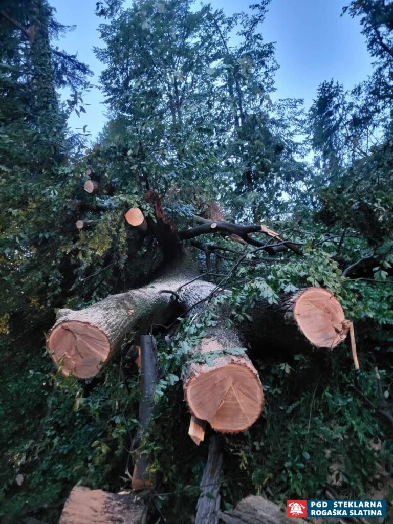 045 Večji obseg - Neurje Rogaška Slatina 25.7.2023 (2023) — fotografija 10