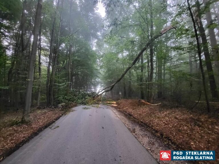 045 Večji obseg - Neurje Rogaška Slatina 25.7.2023 (2023) — fotografija 14