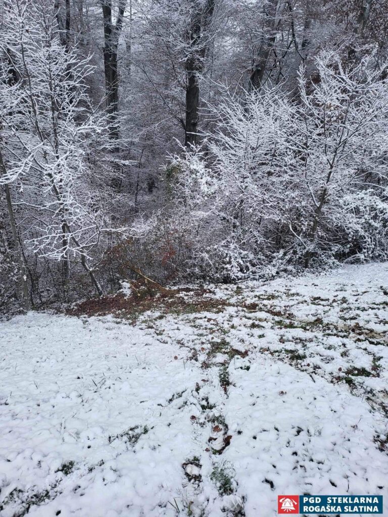 064 Tehnična in druga pomoč Lastine 6.12.2023 (2023) — fotografija 3