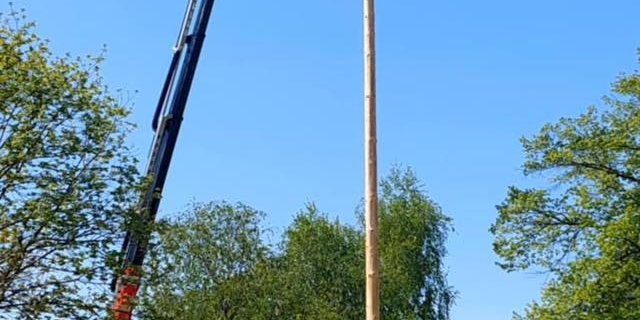 Tradicionalna postavitev mlaja 2025