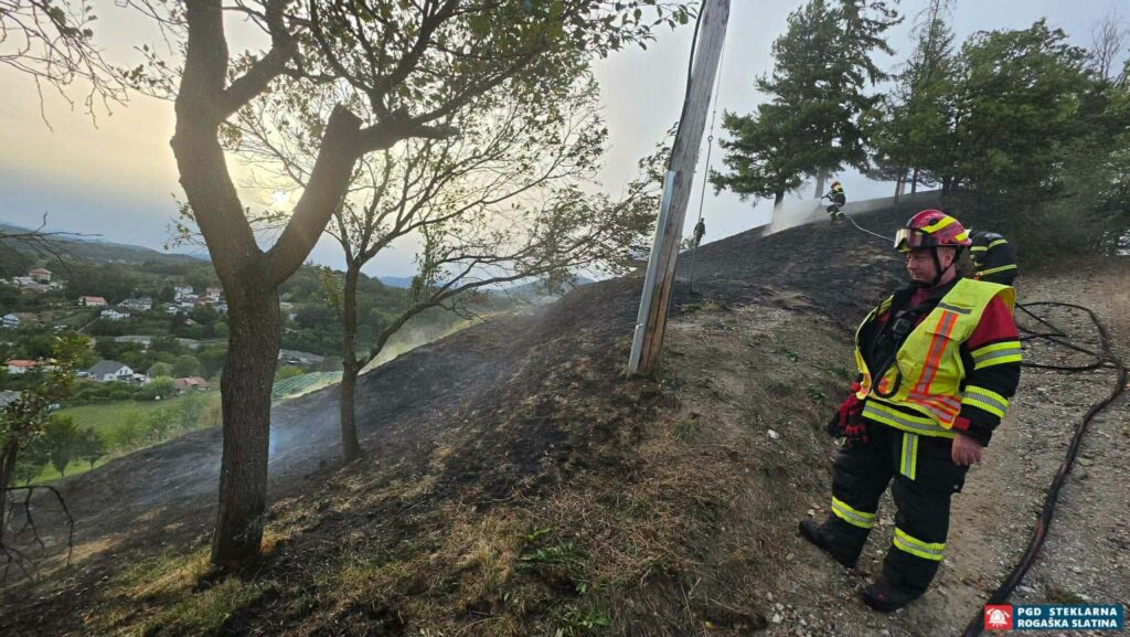 Travniški požar v Ločenem Dolu